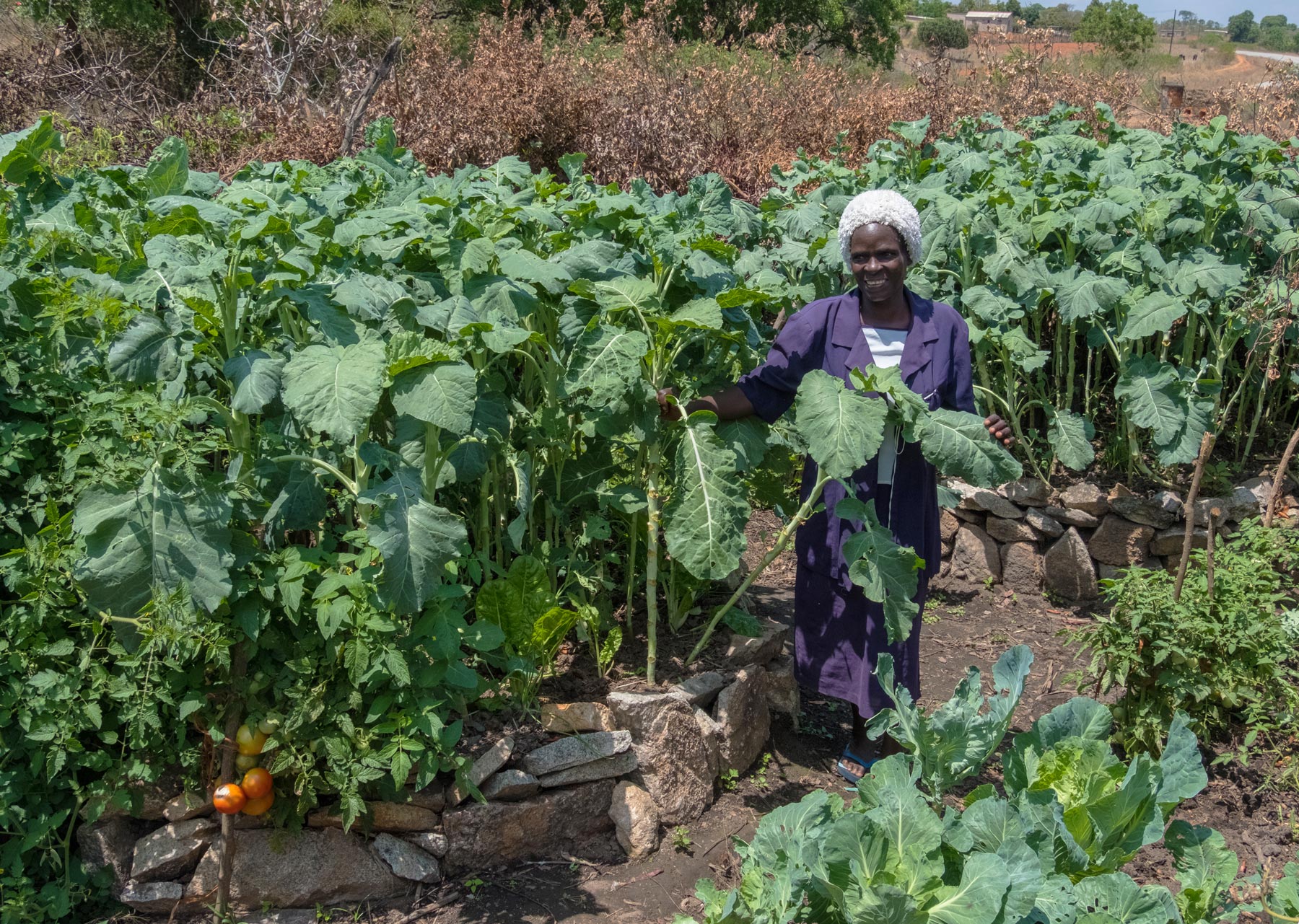 Food-1-PS1800 a woman in a garden
