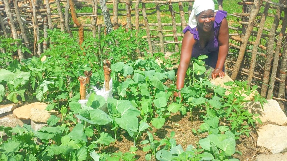 Portia and her garden