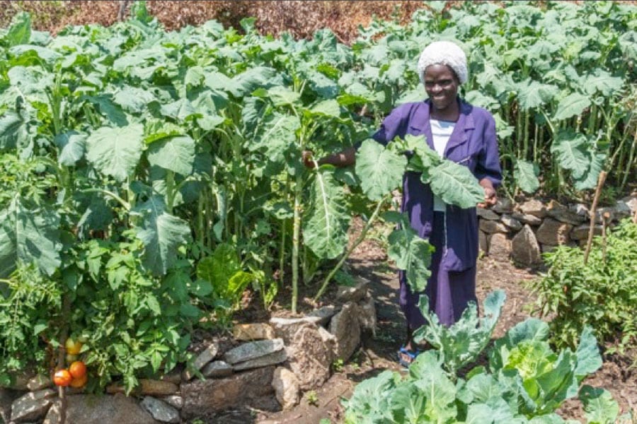 Villages-1-PS900 Woman in a very productive garden